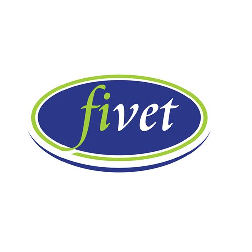 fiver